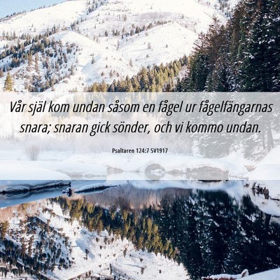 Picture 06 - Psaltaren 124:7 SV1917 - Vår själ kom undan såsom en fågel ur - Bible Verse Picture