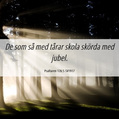 Picture 06 - Psaltaren 126:5 SV1917 - De som så med tårar skola skörda med - Bible Verse Picture
