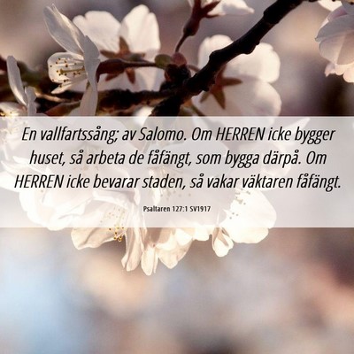 Picture 06 - Psaltaren 127:1 SV1917 - En vallfartssång; av Salomo. Om HERREN icke - Bible Verse Picture