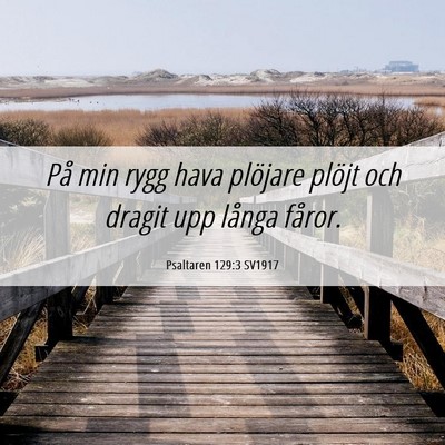 Picture 06 - Psaltaren 129:3 SV1917 - På min rygg hava plöjare plöjt och dragit upp - Bible Verse Picture