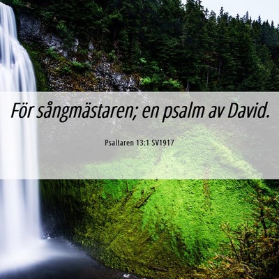 Picture 06 - Psaltaren 13:1 SV1917 - För sångmästaren; en psalm av - Bible Verse Picture