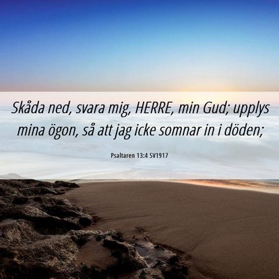 Picture 06 - Psaltaren 13:4 SV1917 - Skåda ned, svara mig, HERRE, min Gud; upplys - Bible Verse Picture