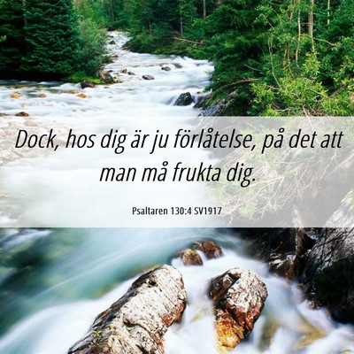 Picture 06 - Psaltaren 130:4 SV1917 - Dock, hos dig är ju förlåtelse, på det att - Bible Verse Picture