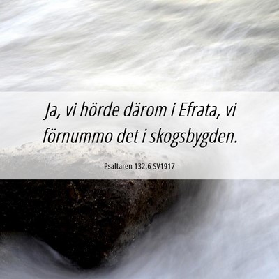 Picture 06 - Psaltaren 132:6 SV1917 - Ja, vi hörde därom i Efrata, vi förnummo det i - Bible Verse Picture