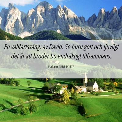Picture 06 - Psaltaren 133:1 SV1917 - En vallfartssång; av David. Se huru gott och - Bible Verse Picture