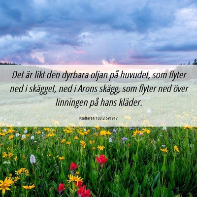 Picture 06 - Psaltaren 133:2 SV1917 - Det är likt den dyrbara oljan på huvudet, som - Bible Verse Picture
