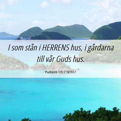 Picture 06 - Psaltaren 135:2 SV1917 - I som stån i HERRENS hus, i gårdarna till vår - Bible Verse Picture
