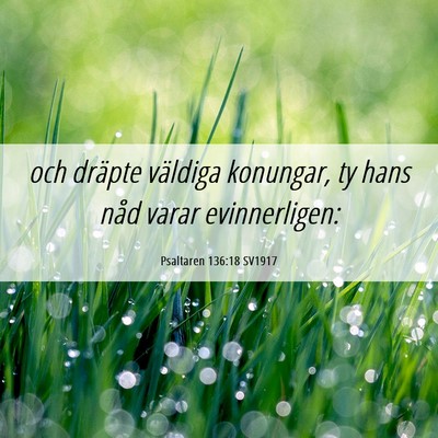 Picture 06 - Psaltaren 136:18 SV1917 - och dräpte väldiga konungar, ty hans nåd varar - Bible Verse Picture