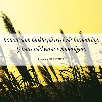 Picture 06 - Psaltaren 136:23 SV1917 - honom som tänkte på oss i vår förnedring, ty - Bible Verse Picture