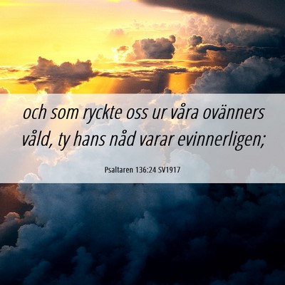 Picture 06 - Psaltaren 136:24 SV1917 - och som ryckte oss ur våra ovänners våld, ty - Bible Verse Picture