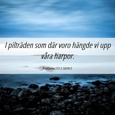 Picture 06 - Psaltaren 137:2 SV1917 - I pilträden som där voro hängde vi upp våra - Bible Verse Picture
