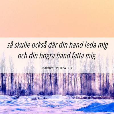 Picture 06 - Psaltaren 139:10 SV1917 - så skulle också där din hand leda mig och din - Bible Verse Picture