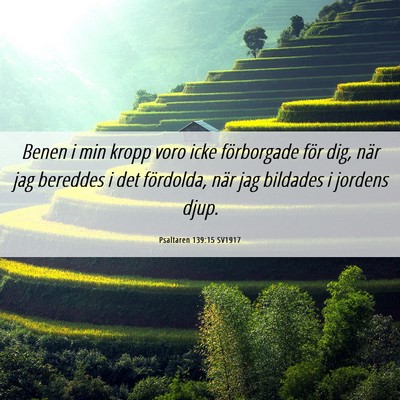 Picture 06 - Psaltaren 139:15 SV1917 - Benen i min kropp voro icke förborgade för dig, - Bible Verse Picture