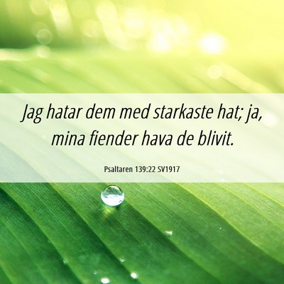 Picture 06 - Psaltaren 139:22 SV1917 - Jag hatar dem med starkaste hat; ja, mina fiender - Bible Verse Picture