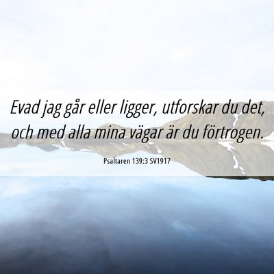 Picture 06 - Psaltaren 139:3 SV1917 - Evad jag går eller ligger, utforskar du det, och - Bible Verse Picture
