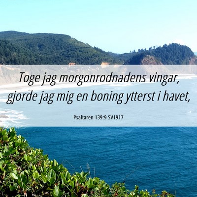 Picture 06 - Psaltaren 139:9 SV1917 - Toge jag morgonrodnadens vingar, gjorde jag mig - Bible Verse Picture