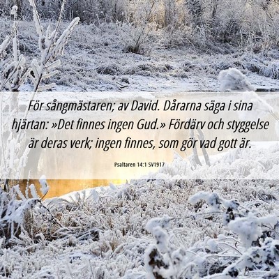 Picture 06 - Psaltaren 14:1 SV1917 - För sångmästaren; av David. Dårarna säga i - Bible Verse Picture