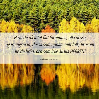 Picture 06 - Psaltaren 14:4 SV1917 - Hava de då intet fått förnimma, alla dessa - Bible Verse Picture