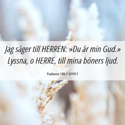 Picture 06 - Psaltaren 140:7 SV1917 - Jag säger till HERREN: »Du är min Gud.» - Bible Verse Picture