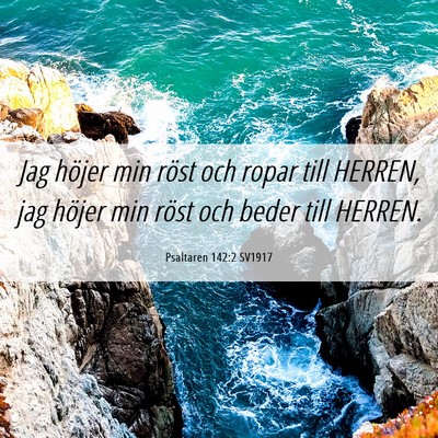 Picture 06 - Psaltaren 142:2 SV1917 - Jag höjer min röst och ropar till HERREN, jag - Bible Verse Picture