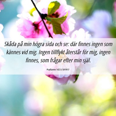 Picture 06 - Psaltaren 142:5 SV1917 - Skåda på min högra sida och se: där finnes - Bible Verse Picture