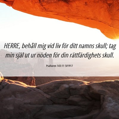 Picture 06 - Psaltaren 143:11 SV1917 - HERRE, behåll mig vid liv för ditt namns skull; - Bible Verse Picture