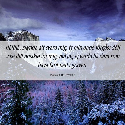 Picture 06 - Psaltaren 143:7 SV1917 - HERRE, skynda att svara mig, ty min ande - Bible Verse Picture