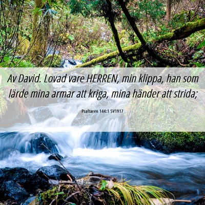Picture 06 - Psaltaren 144:1 SV1917 - Av David. Lovad vare HERREN, min klippa, han som - Bible Verse Picture