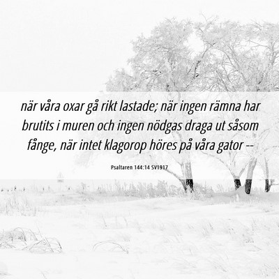 Picture 06 - Psaltaren 144:14 SV1917 - när våra oxar gå rikt lastade; när ingen - Bible Verse Picture