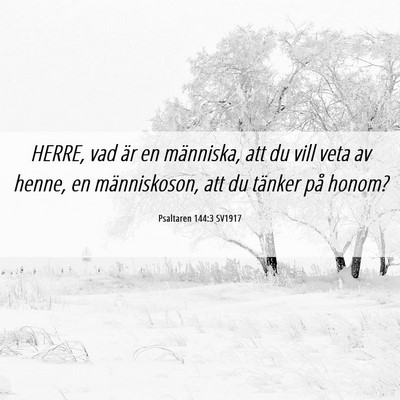 Picture 06 - Psaltaren 144:3 SV1917 - HERRE, vad är en människa, att du vill veta av - Bible Verse Picture