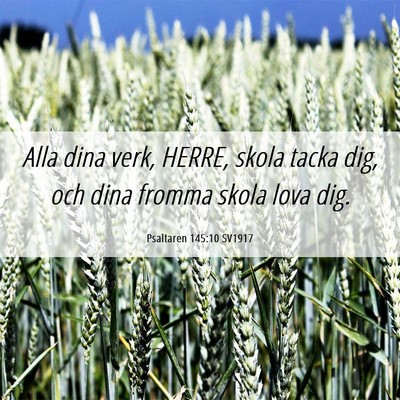 Picture 06 - Psaltaren 145:10 SV1917 - Alla dina verk, HERRE, skola tacka dig, och dina - Bible Verse Picture