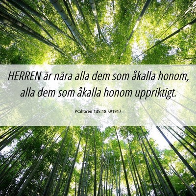 Picture 06 - Psaltaren 145:18 SV1917 - HERREN är nära alla dem som åkalla honom, alla - Bible Verse Picture