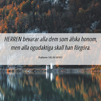 Picture 06 - Psaltaren 145:20 SV1917 - HERREN bevarar alla dem som älska honom, men - Bible Verse Picture