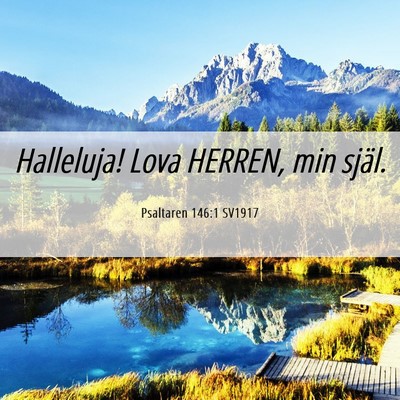 Picture 06 - Psaltaren 146:1 SV1917 - Halleluja! Lova HERREN, min - Bible Verse Picture