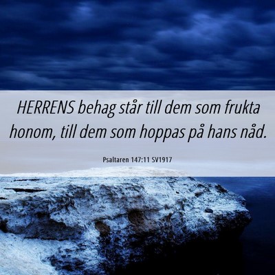 Picture 06 - Psaltaren 147:11 SV1917 - HERRENS behag står till dem som frukta honom, - Bible Verse Picture
