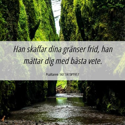 Picture 06 - Psaltaren 147:14 SV1917 - Han skaffar dina gränser frid, han mättar dig - Bible Verse Picture
