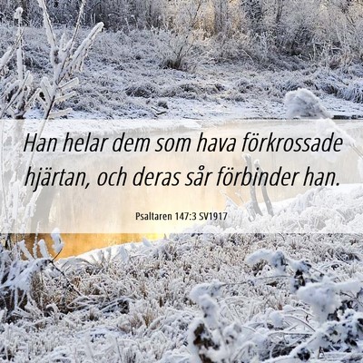 Picture 06 - Psaltaren 147:3 SV1917 - Han helar dem som hava förkrossade hjärtan, och - Bible Verse Picture