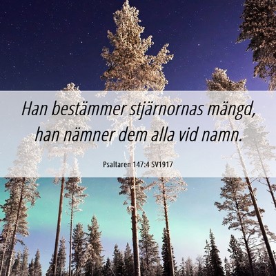 Picture 06 - Psaltaren 147:4 SV1917 - Han bestämmer stjärnornas mängd, han nämner - Bible Verse Picture