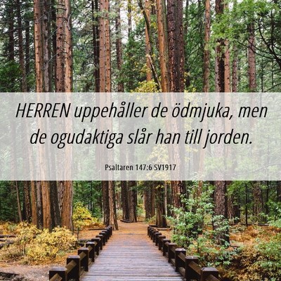 Picture 06 - Psaltaren 147:6 SV1917 - HERREN uppehåller de ödmjuka, men de ogudaktiga - Bible Verse Picture