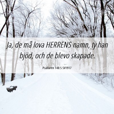 Picture 06 - Psaltaren 148:5 SV1917 - Ja, de må lova HERRENS namn, ty han bjöd, och - Bible Verse Picture