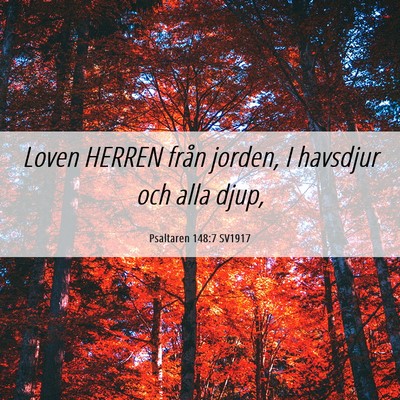 Picture 06 - Psaltaren 148:7 SV1917 - Loven HERREN från jorden, I havsdjur och alla - Bible Verse Picture