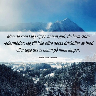 Picture 06 - Psaltaren 16:4 SV1917 - Men de som taga sig en annan gud, de hava stora - Bible Verse Picture
