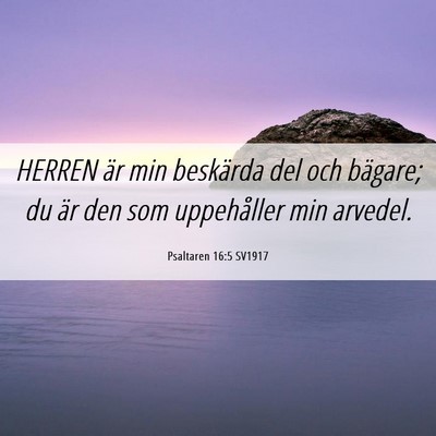 Picture 06 - Psaltaren 16:5 SV1917 - HERREN är min beskärda del och bägare; du är - Bible Verse Picture