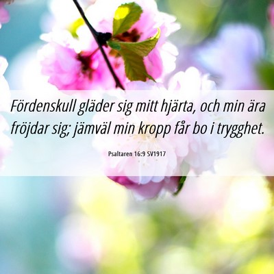 Picture 06 - Psaltaren 16:9 SV1917 - Fördenskull gläder sig mitt hjärta, och min - Bible Verse Picture