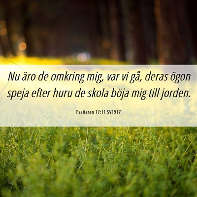 Picture 06 - Psaltaren 17:11 SV1917 - Nu äro de omkring mig, var vi gå, deras ögon - Bible Verse Picture