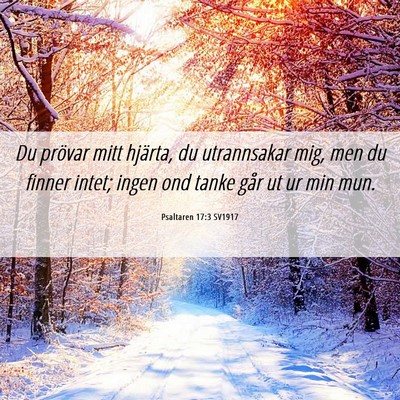 Picture 06 - Psaltaren 17:3 SV1917 - Du prövar mitt hjärta, du utrannsakar mig, men - Bible Verse Picture