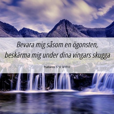 Picture 06 - Psaltaren 17:8 SV1917 - Bevara mig såsom en ögonsten, beskärma mig - Bible Verse Picture