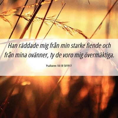 Picture 06 - Psaltaren 18:18 SV1917 - Han räddade mig från min starke fiende och - Bible Verse Picture