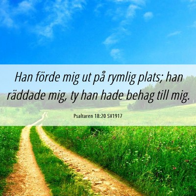 Picture 06 - Psaltaren 18:20 SV1917 - Han förde mig ut på rymlig plats; han räddade - Bible Verse Picture