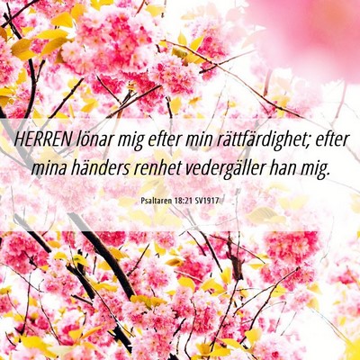Picture 06 - Psaltaren 18:21 SV1917 - HERREN lönar mig efter min rättfärdighet; - Bible Verse Picture